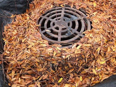 Clogged roof drain