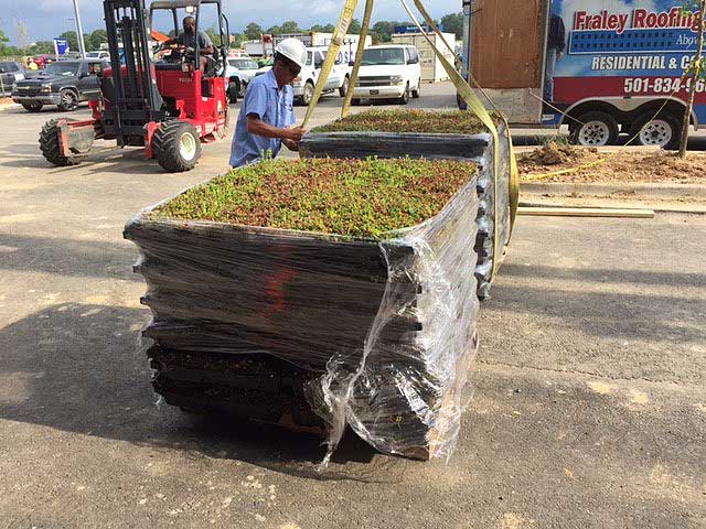Pallets of green roof material (grass)