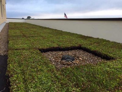 Green roof drain