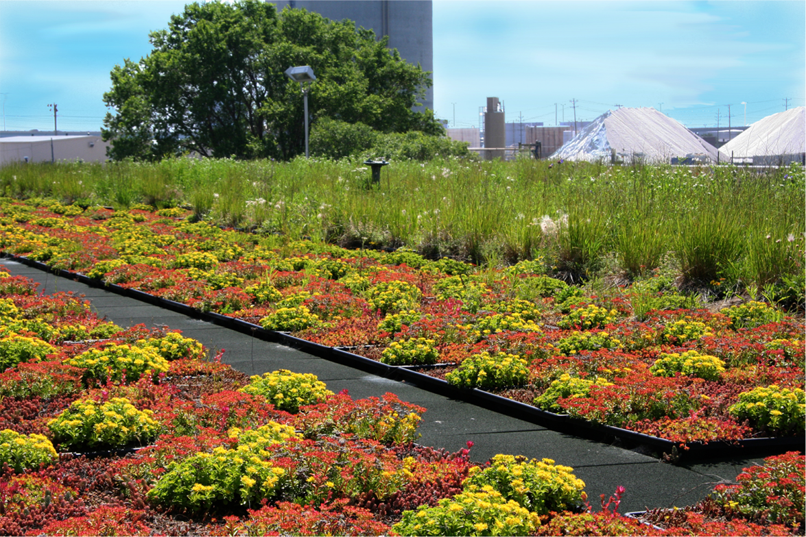This energy efficient green roof was installed by our crew